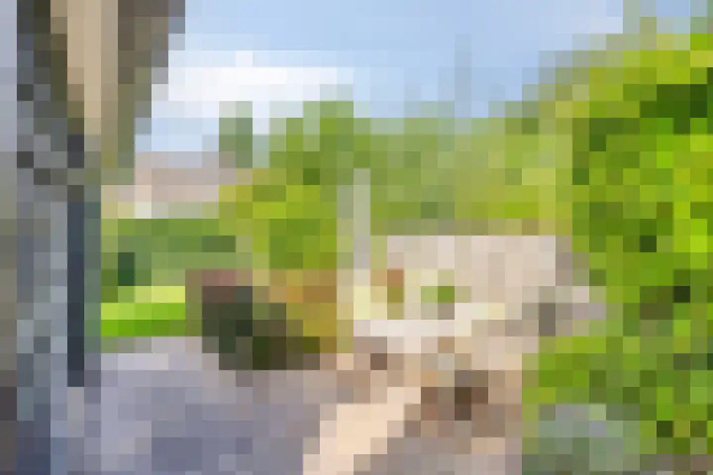 Veerstraat 15 Waspik thumbnail 34