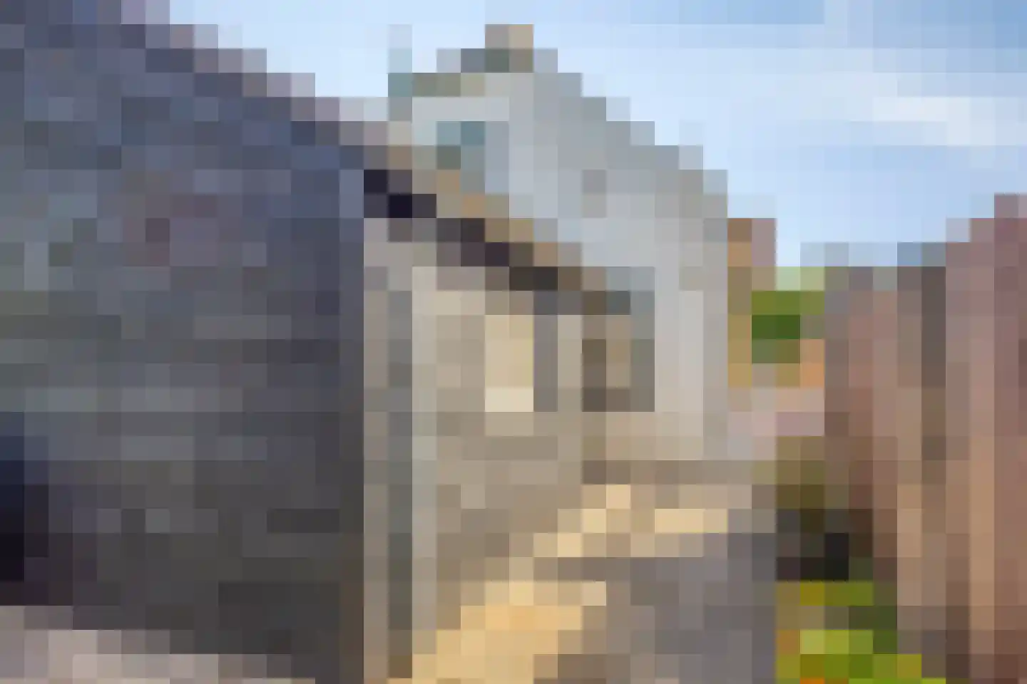 Veerstraat 15 Waspik thumbnail 37