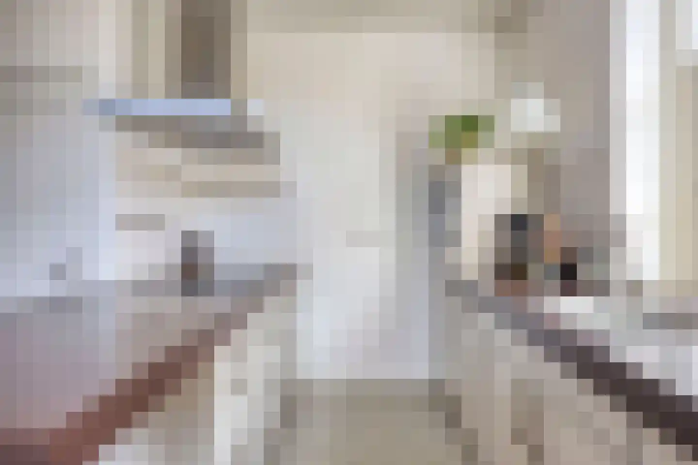 Veerstraat 15 Waspik thumbnail 4