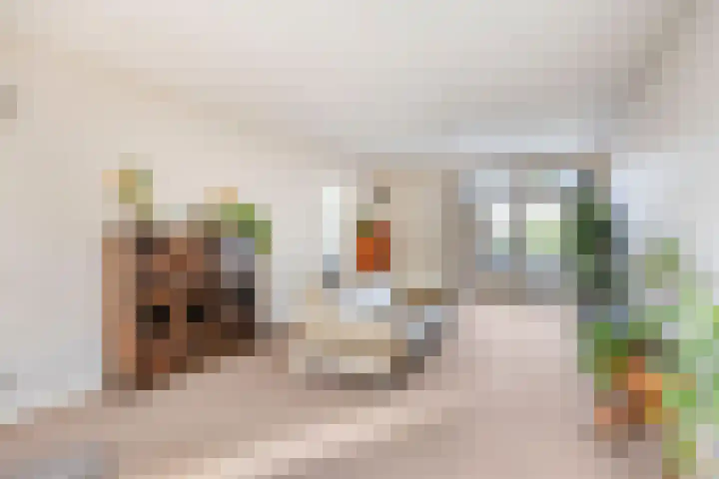 Veerstraat 15 Waspik thumbnail 9