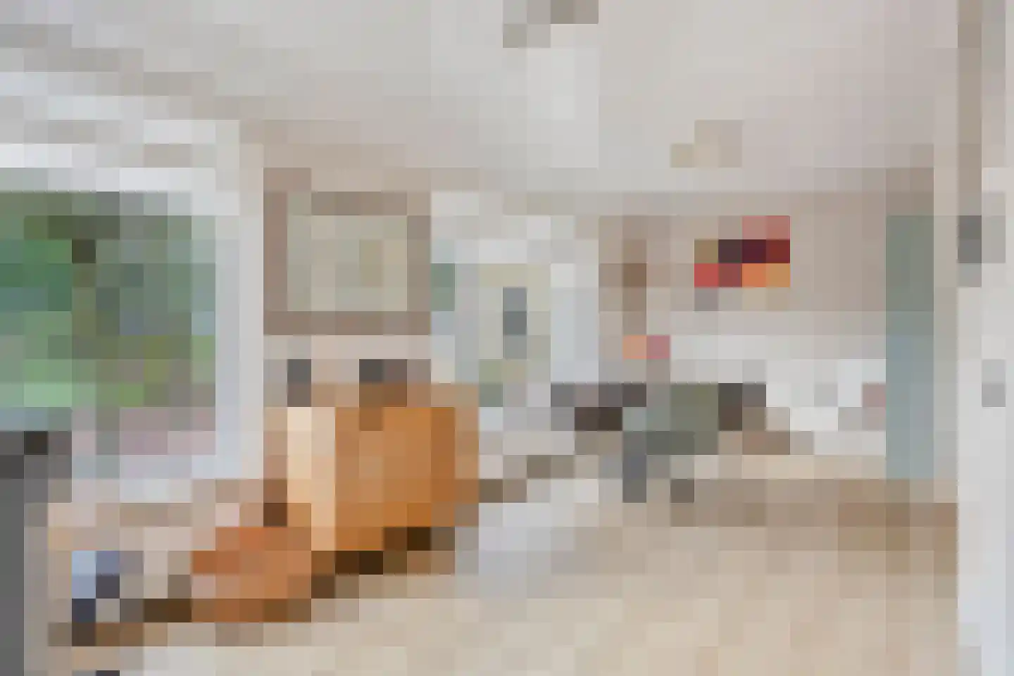 Veerstraat 16 Erp thumbnail 19