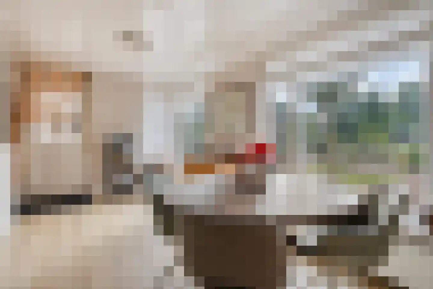 Veerstraat 16 Erp thumbnail 20