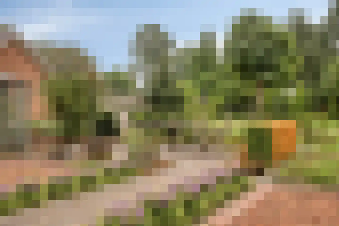 Veerstraat 16 Erp thumbnail 42