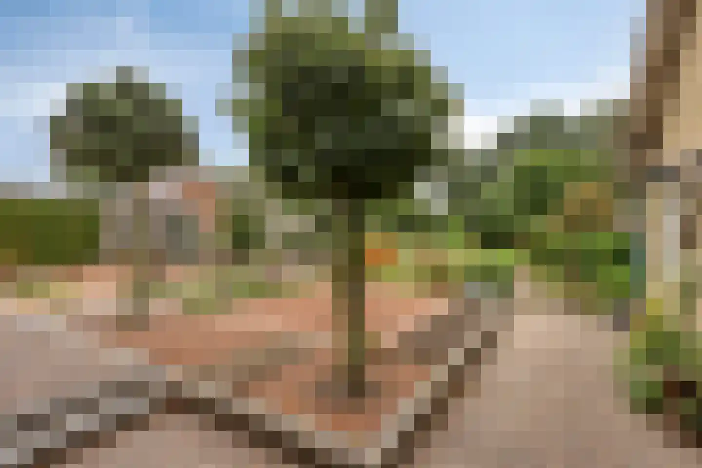 Veerstraat 16 Erp thumbnail 44