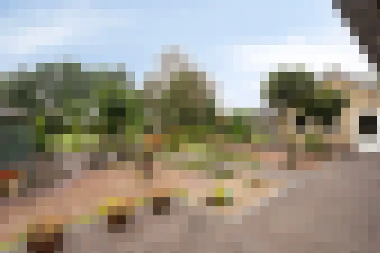 Veerstraat 16 Erp thumbnail 45