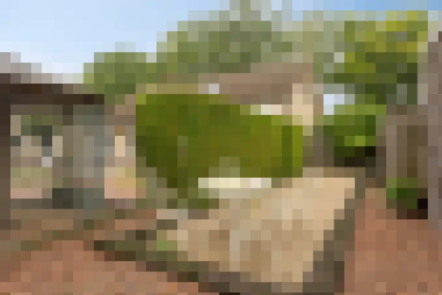 Veerstraat 16 Erp thumbnail 46