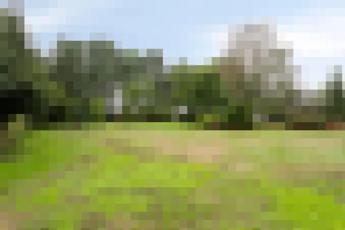 Veerstraat 16 Erp thumbnail 48