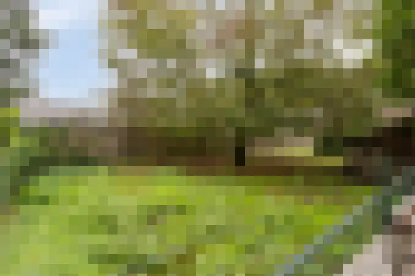 Veerstraat 16 Erp thumbnail 50
