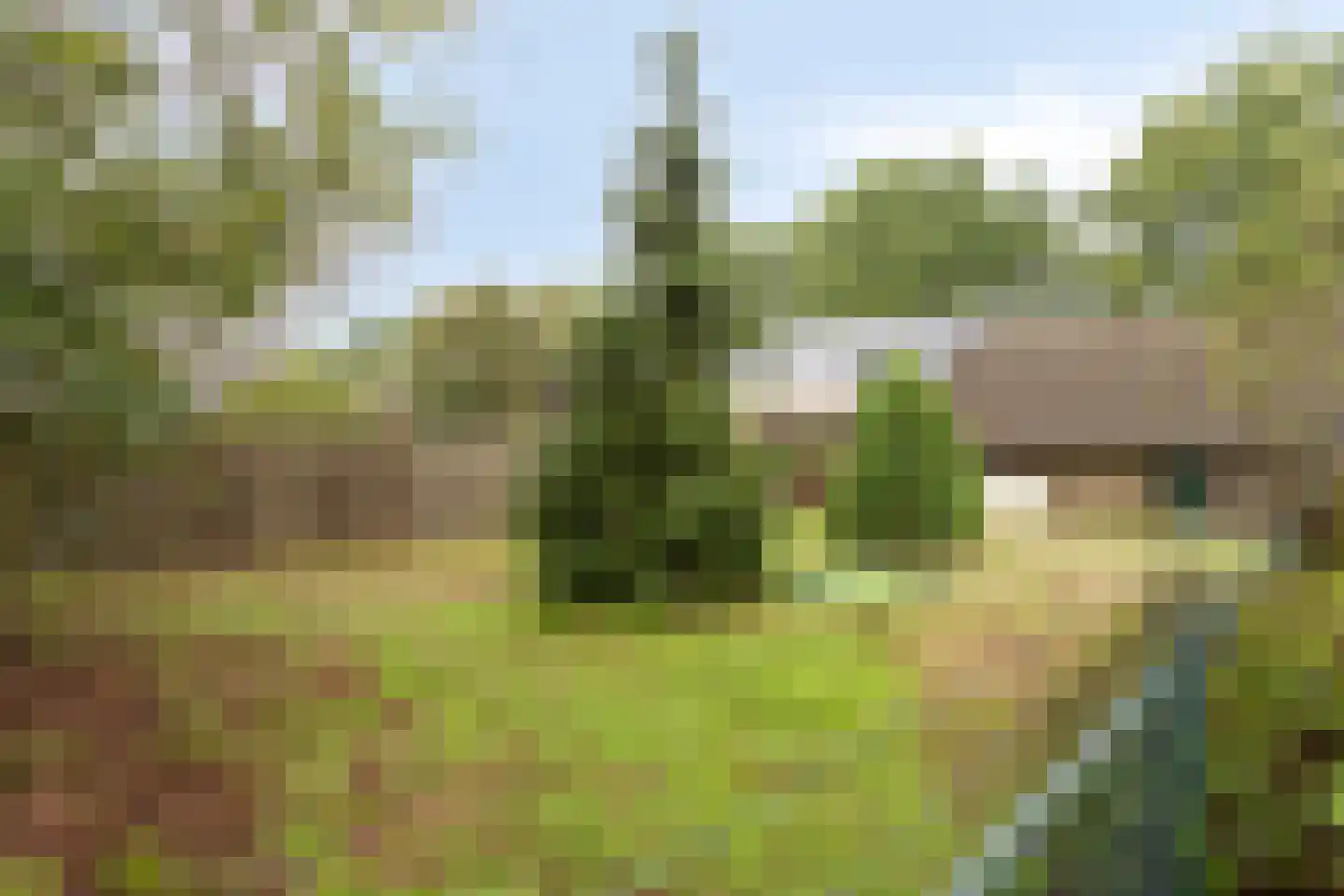 Veerstraat 16 Erp thumbnail 51