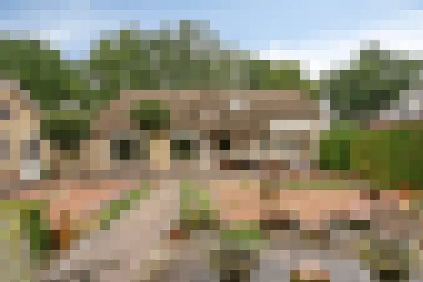 Veerstraat 16 Erp thumbnail 52