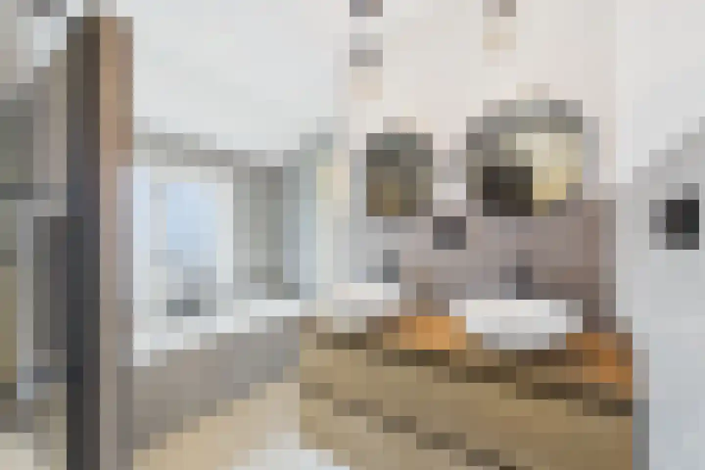 Veerstraat 17 Zaamslag thumbnail 22