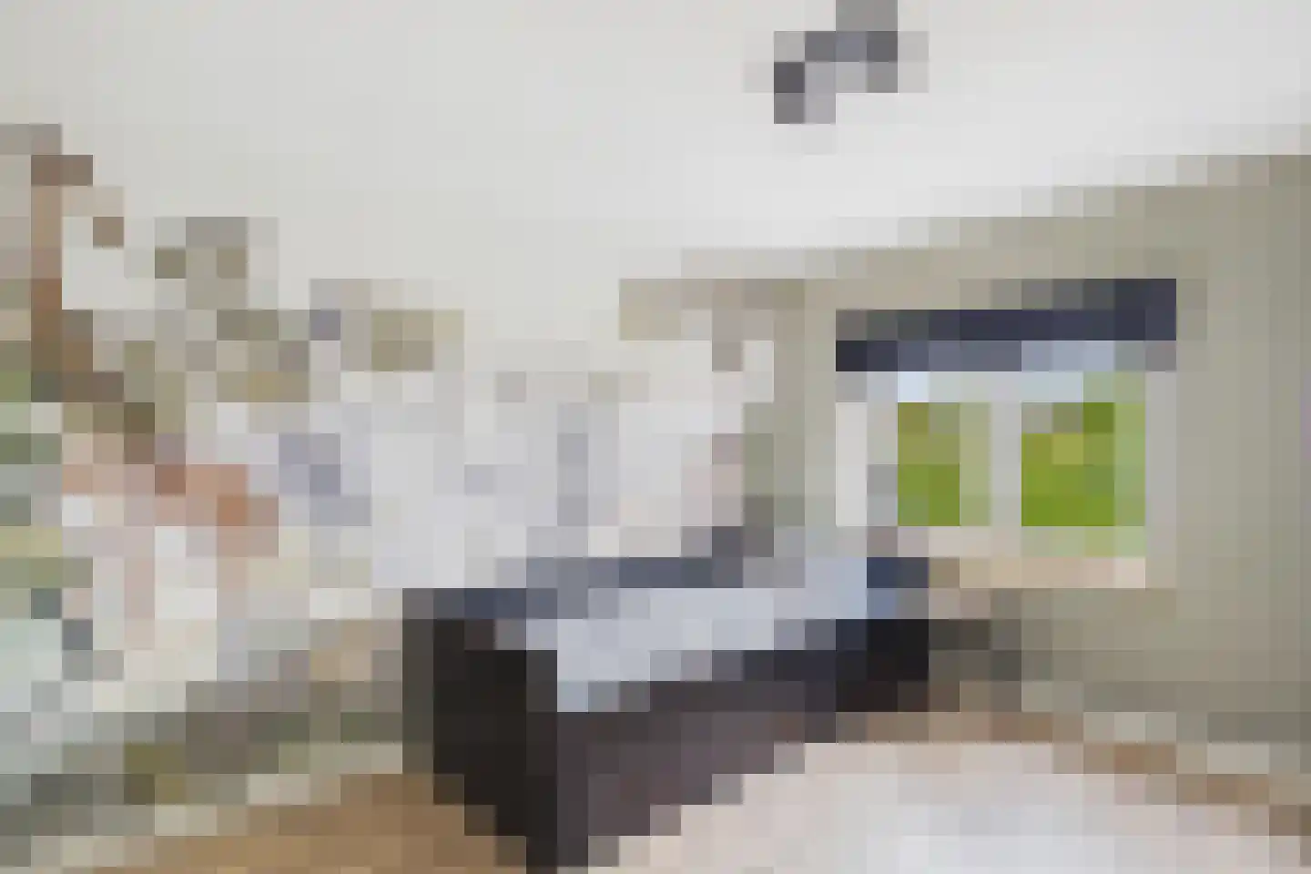 Veerstraat 17 Zaamslag thumbnail 28