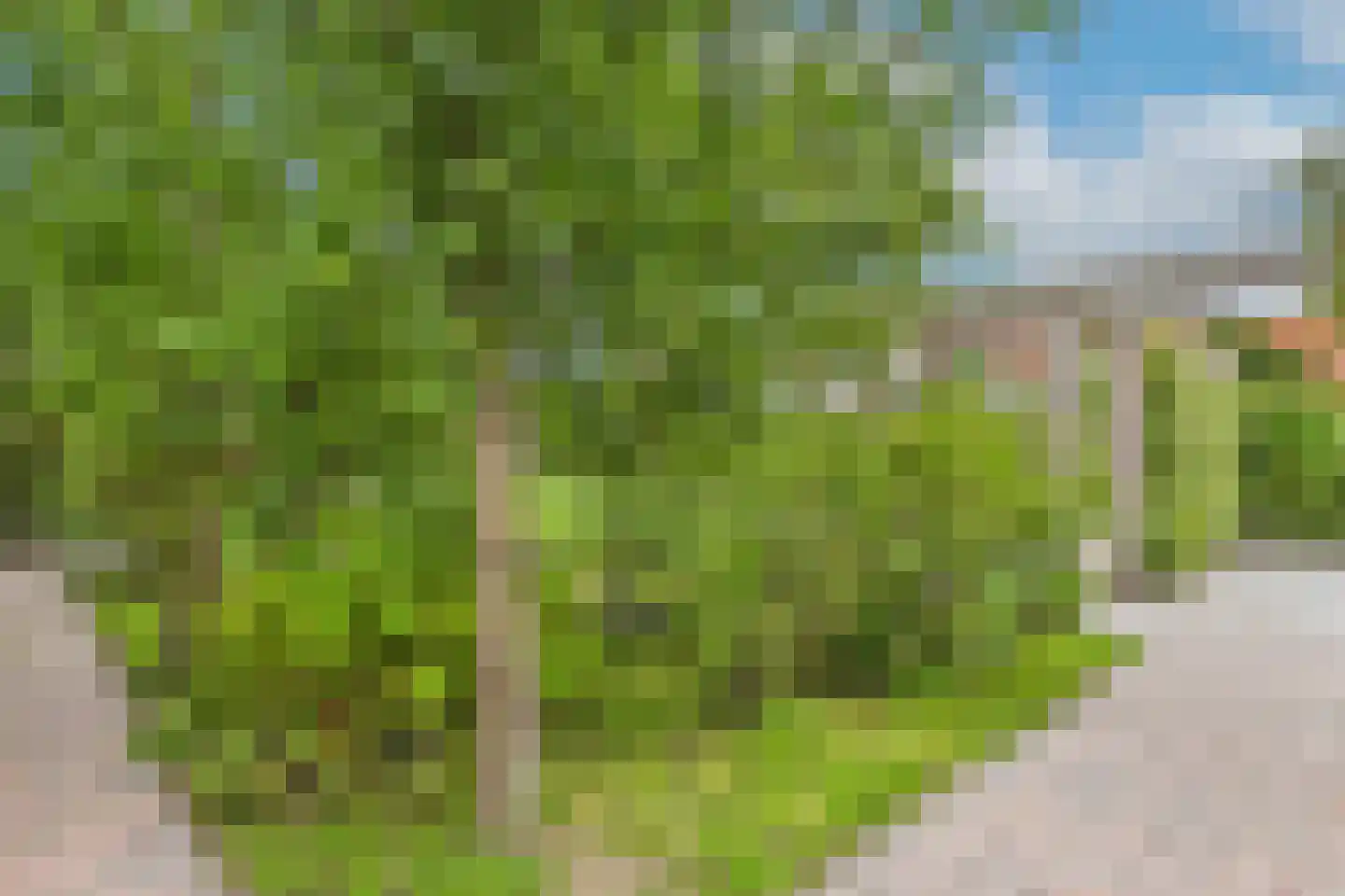 Veerstraat 17 Zaamslag thumbnail 37
