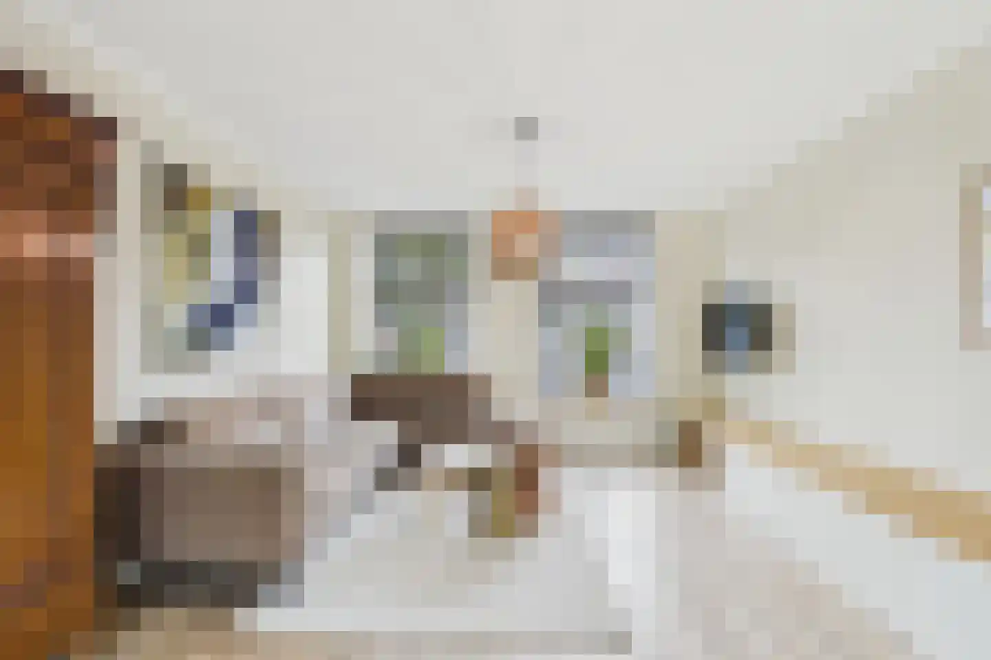 Veerstraat 17 Zaamslag thumbnail 8