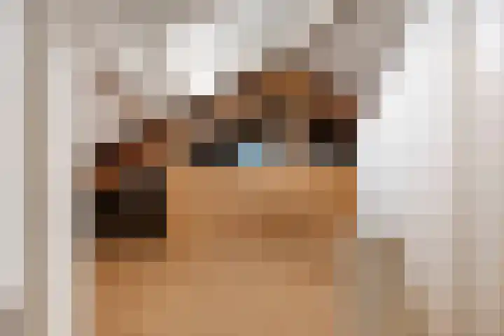 Veerstraat 18 Zaamslag thumbnail 24