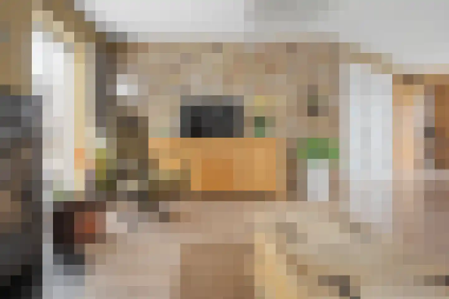Veerstraat 2 Koewacht thumbnail 10
