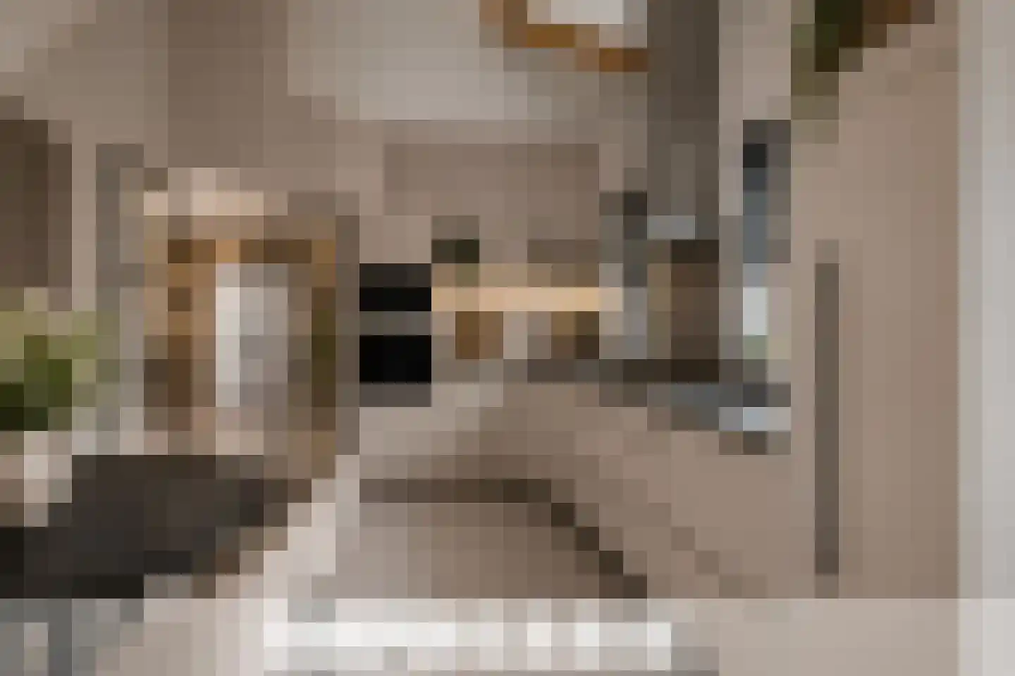 Veerstraat 2 Koewacht thumbnail 16