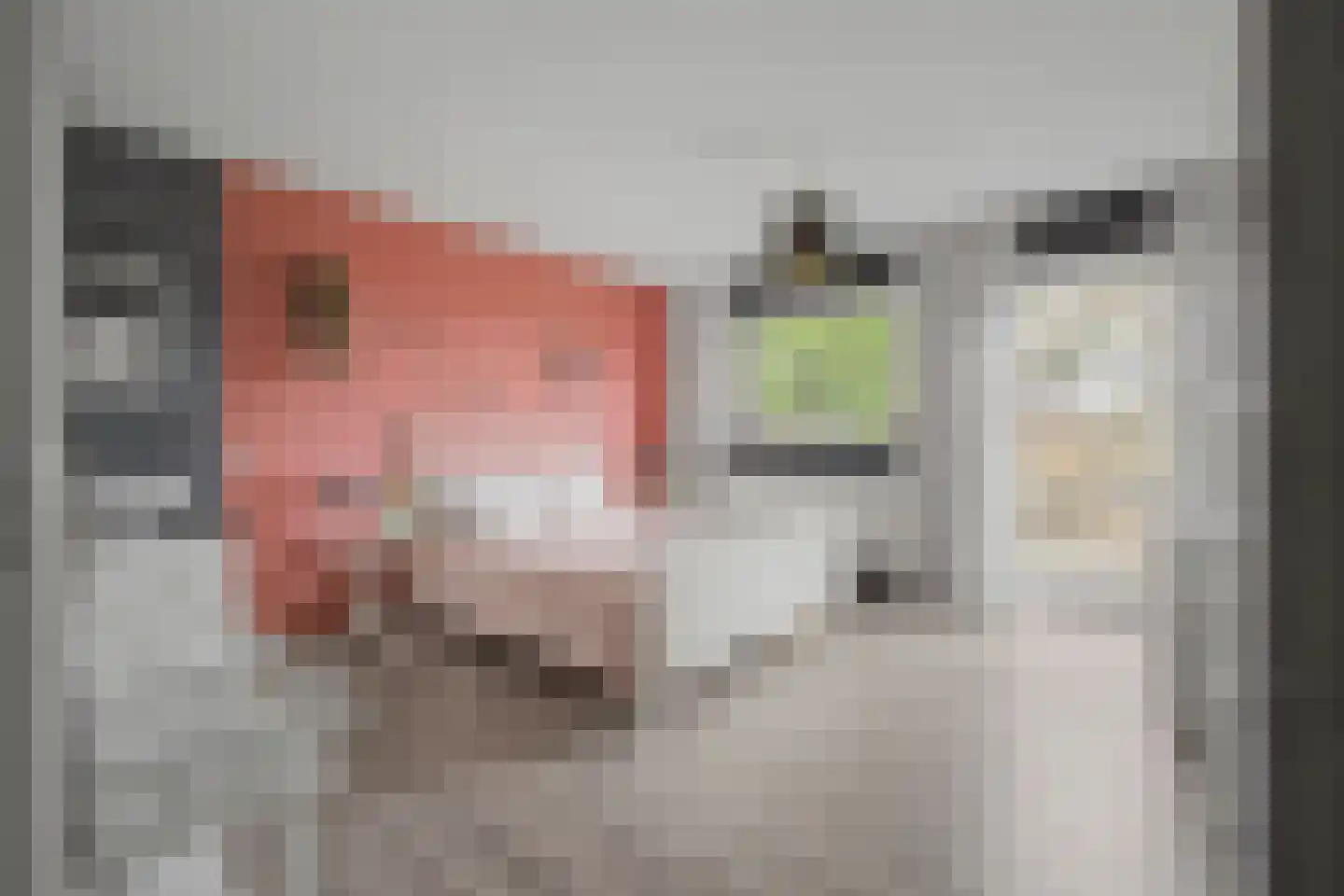 Veerstraat 2 Koewacht thumbnail 18