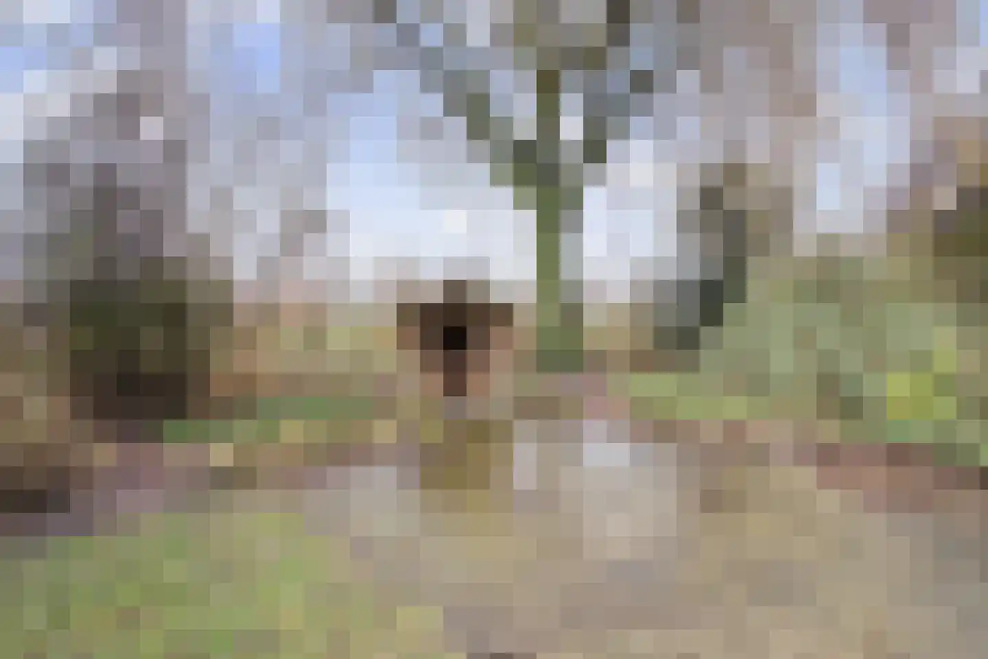 Veerstraat 2 Koewacht thumbnail 35