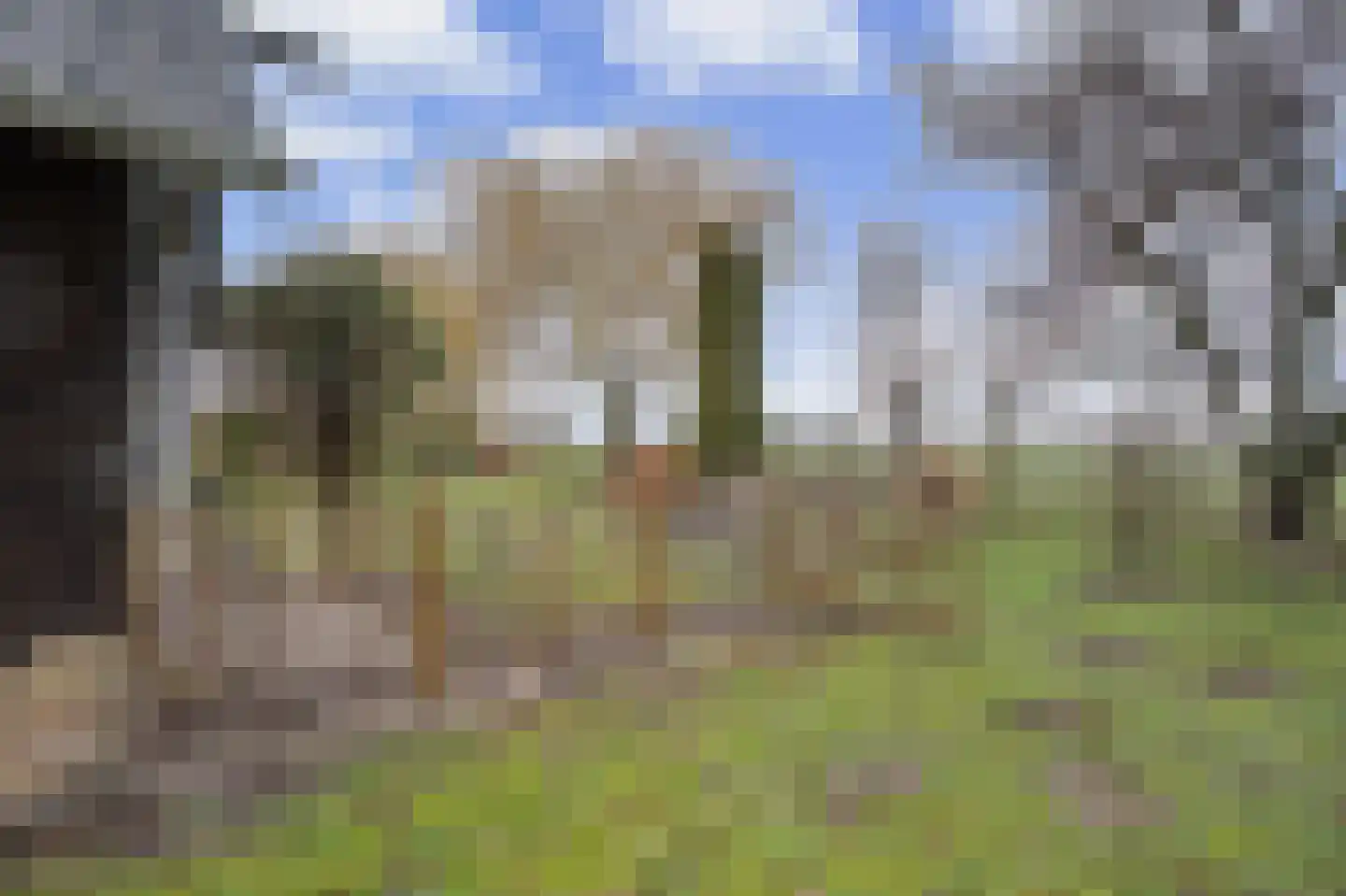 Veerstraat 2 Koewacht thumbnail 36