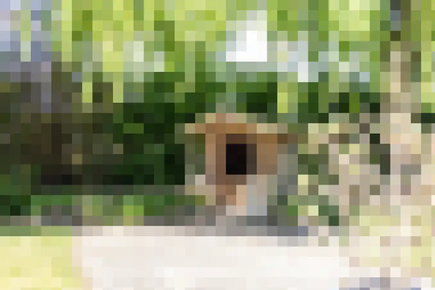Veerstraat 2 Koewacht thumbnail 36