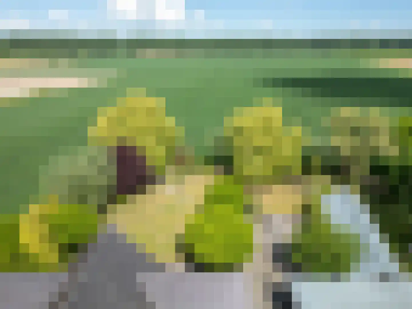 Veerstraat 2 Koewacht thumbnail 39