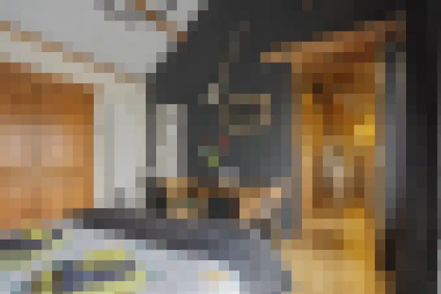 Veerstraat 2 Koewacht thumbnail 43