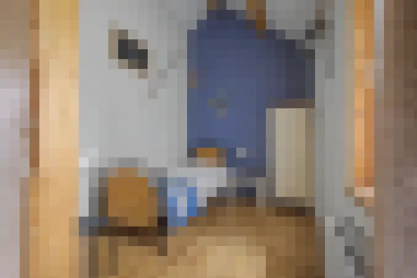 Veerstraat 2 Koewacht thumbnail 45