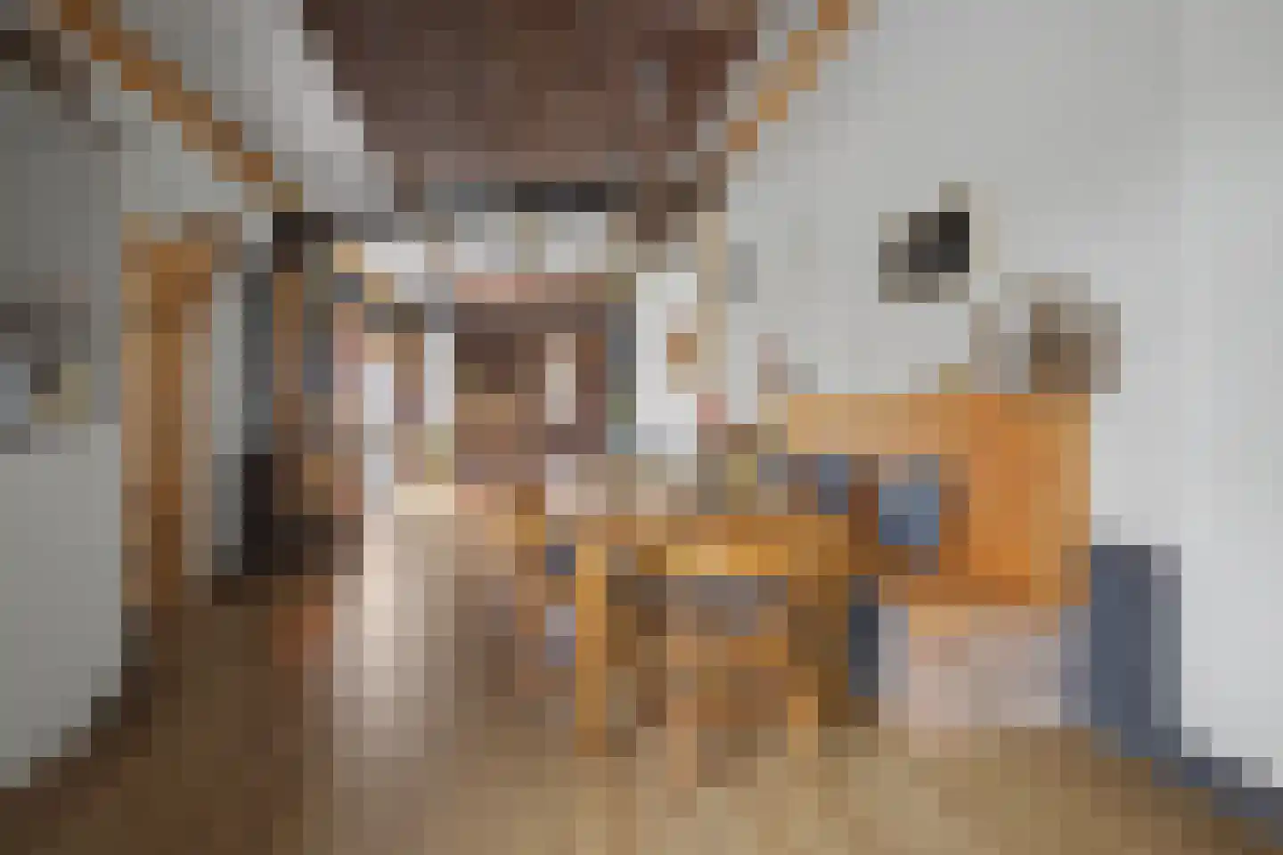 Veerstraat 2 Koewacht thumbnail 51