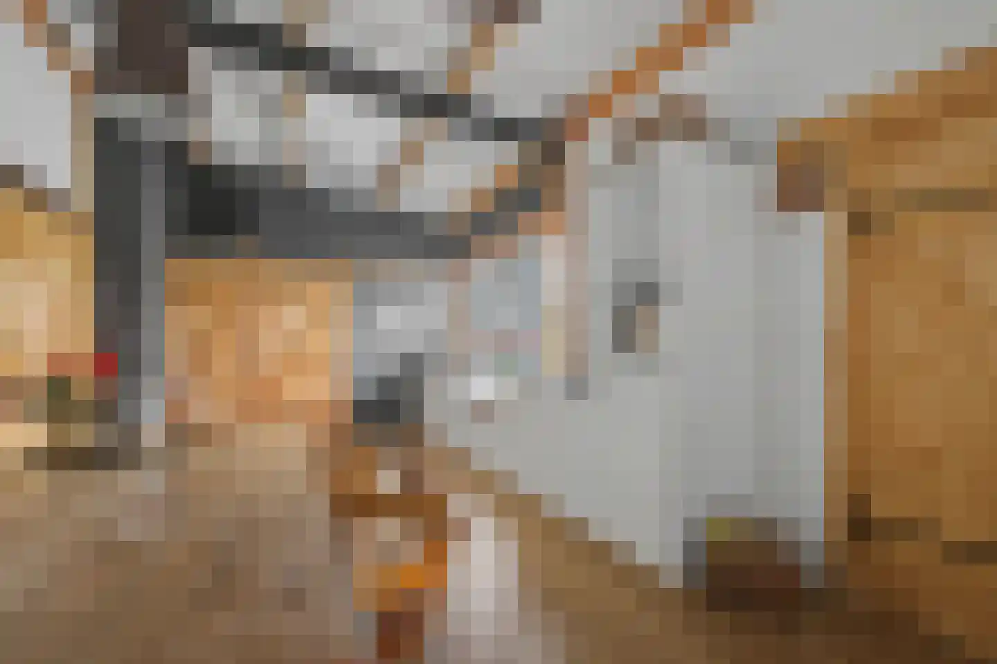 Veerstraat 2 Koewacht thumbnail 53