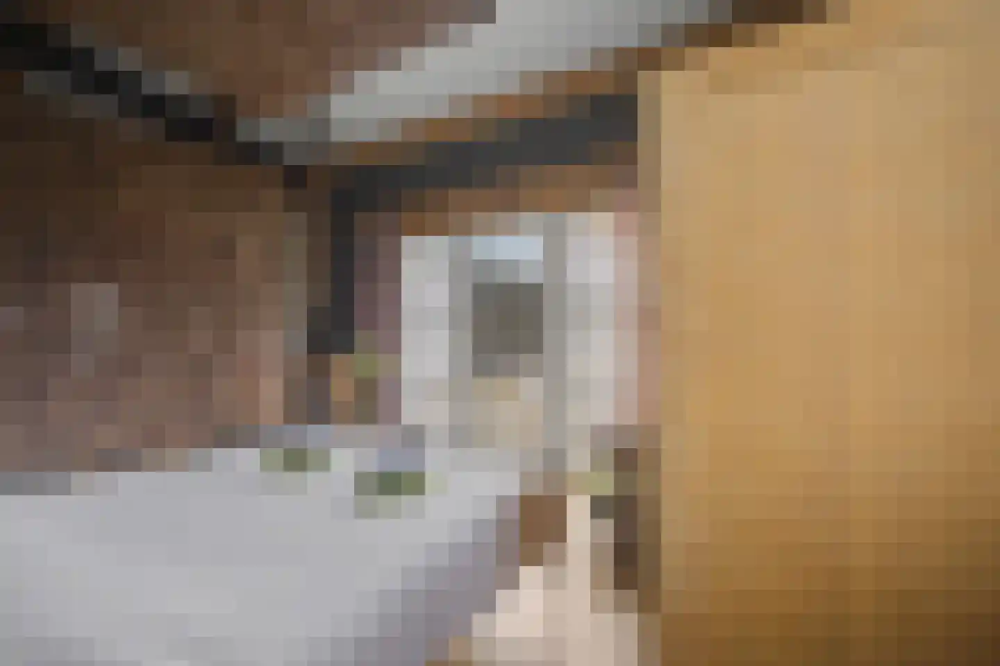 Veerstraat 2 Koewacht thumbnail 54