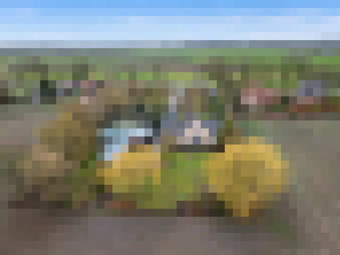 Veerstraat 2 Koewacht thumbnail 65