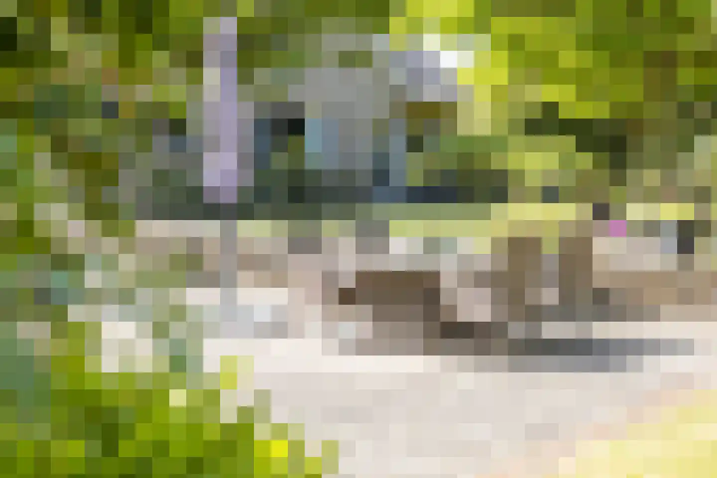 Veerstraat 2 Koewacht thumbnail 65