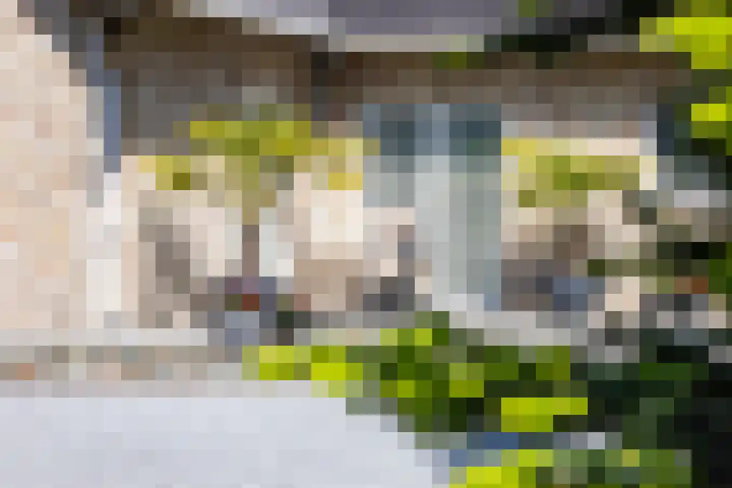 Veerstraat 2 Koewacht thumbnail 68