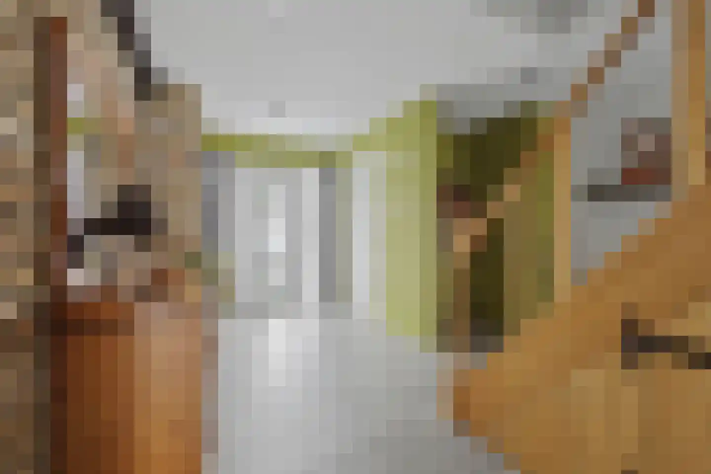 Veerstraat 2 Koewacht thumbnail 7