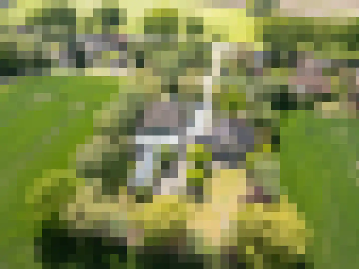 Veerstraat 2 Koewacht thumbnail 71