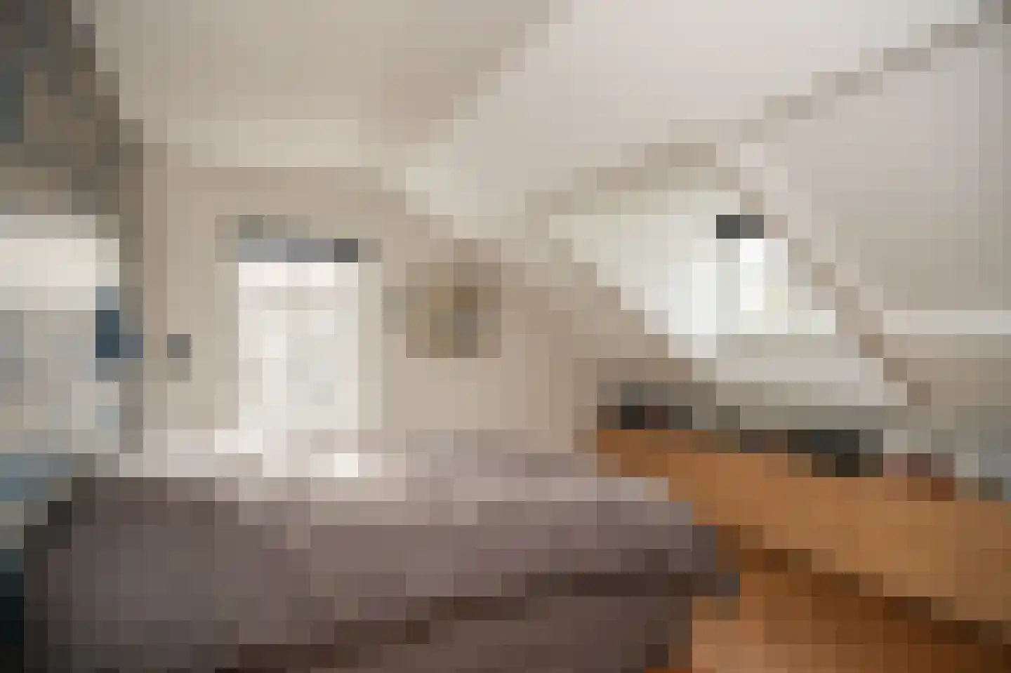 Veerstraat 21 Waspik thumbnail 19
