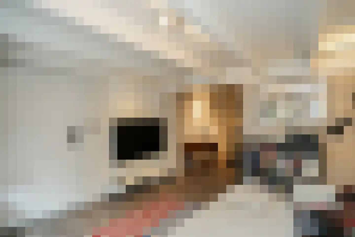 Veerstraat 21 Waspik thumbnail 29