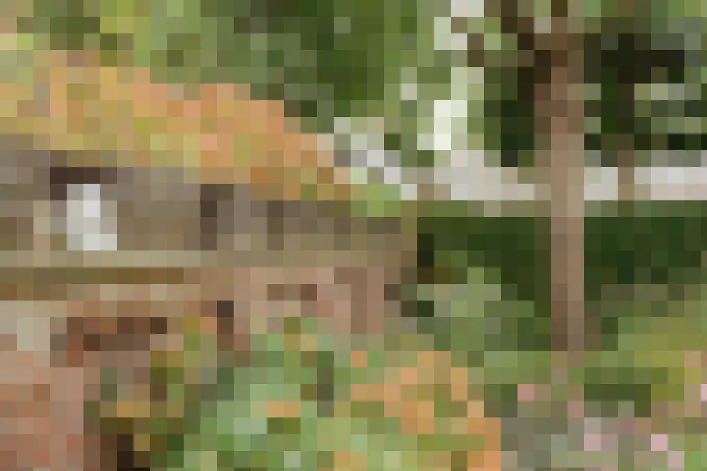 Veerstraat 21 Waspik thumbnail 37