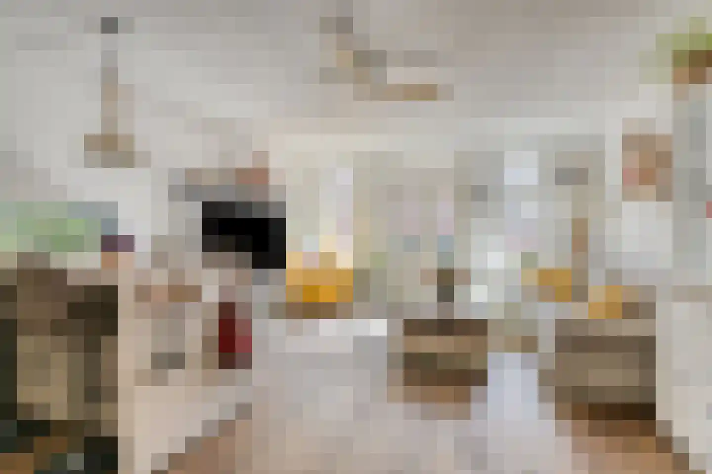 Veerstraat 24 A Alkmaar thumbnail 8