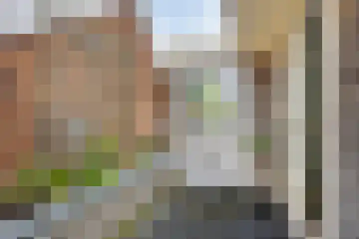 Veerstraat 24 Alkmaar thumbnail 15