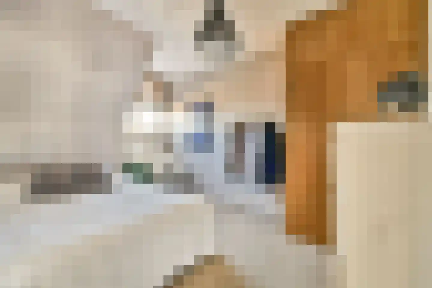 Veerstraat 25 3 Amsterdam thumbnail 20