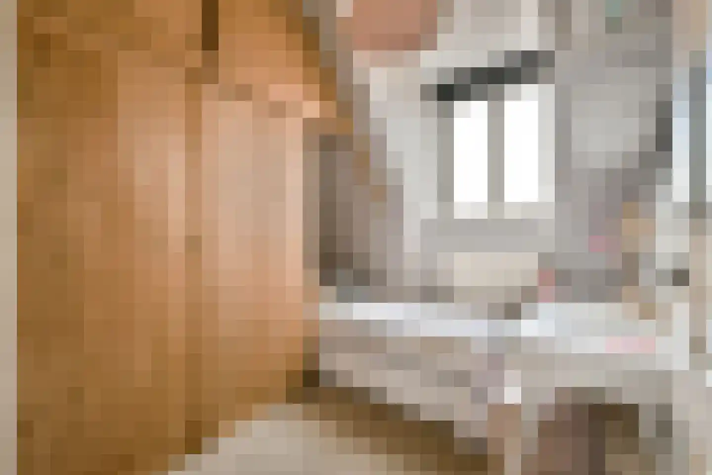 Veerstraat 25 3 Amsterdam thumbnail 22