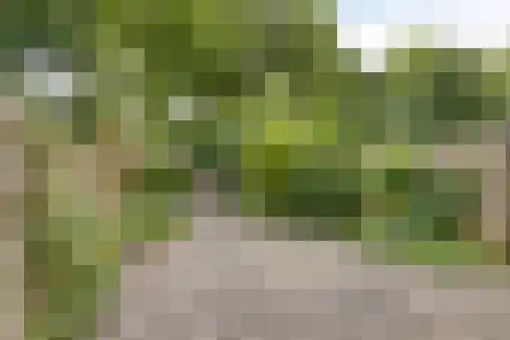 Veerstraat 25 Oude Pekela thumbnail 27