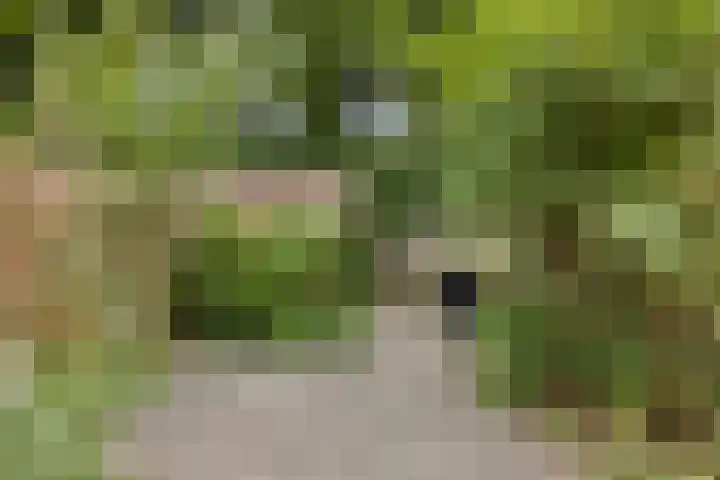 Veerstraat 25 Oude Pekela thumbnail 28