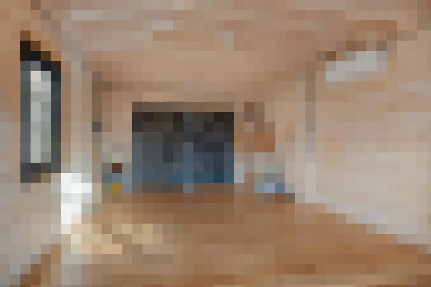 Veerstraat 25 Zutphen thumbnail 21