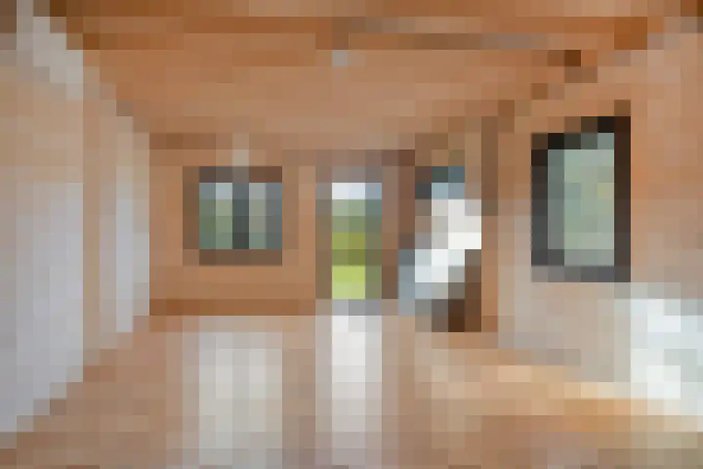 Veerstraat 25 Zutphen thumbnail 22