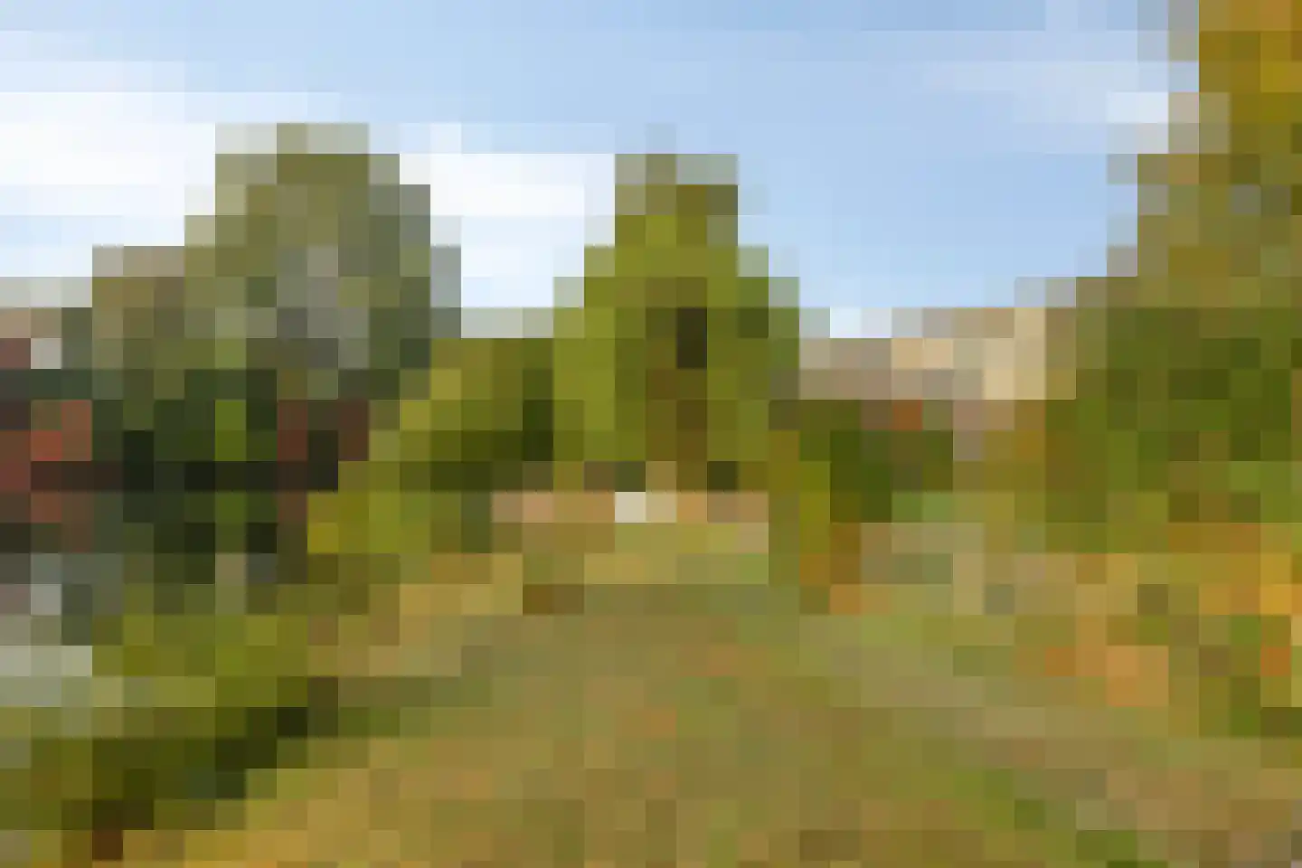 Veerstraat 25 Zutphen thumbnail 36