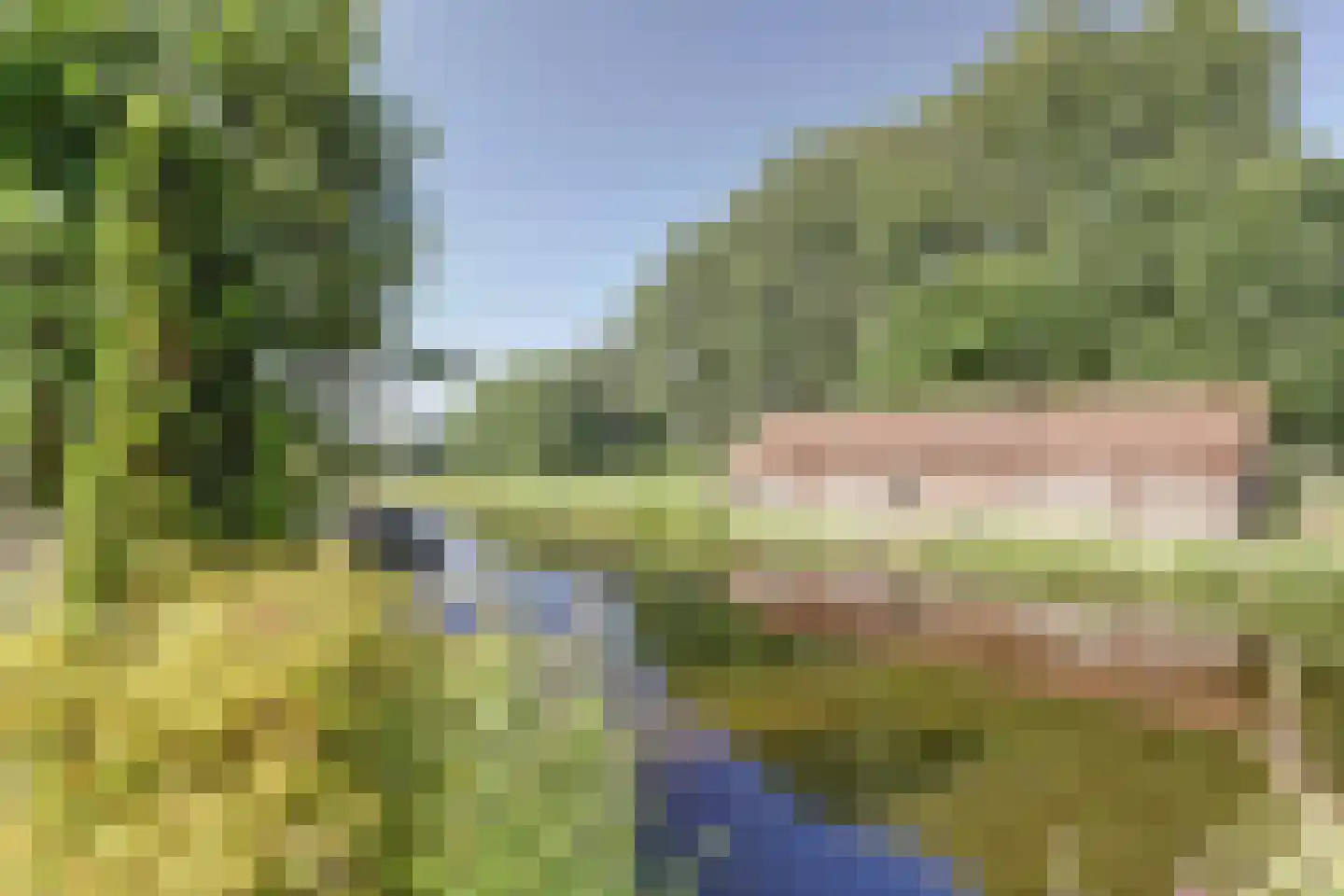 Veerstraat 3 a Oude Wetering thumbnail 29