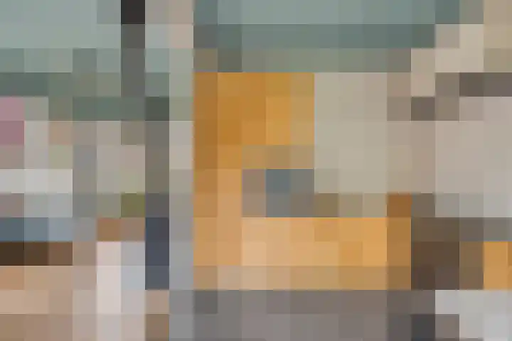 Veerstraat 3 Druten thumbnail 10